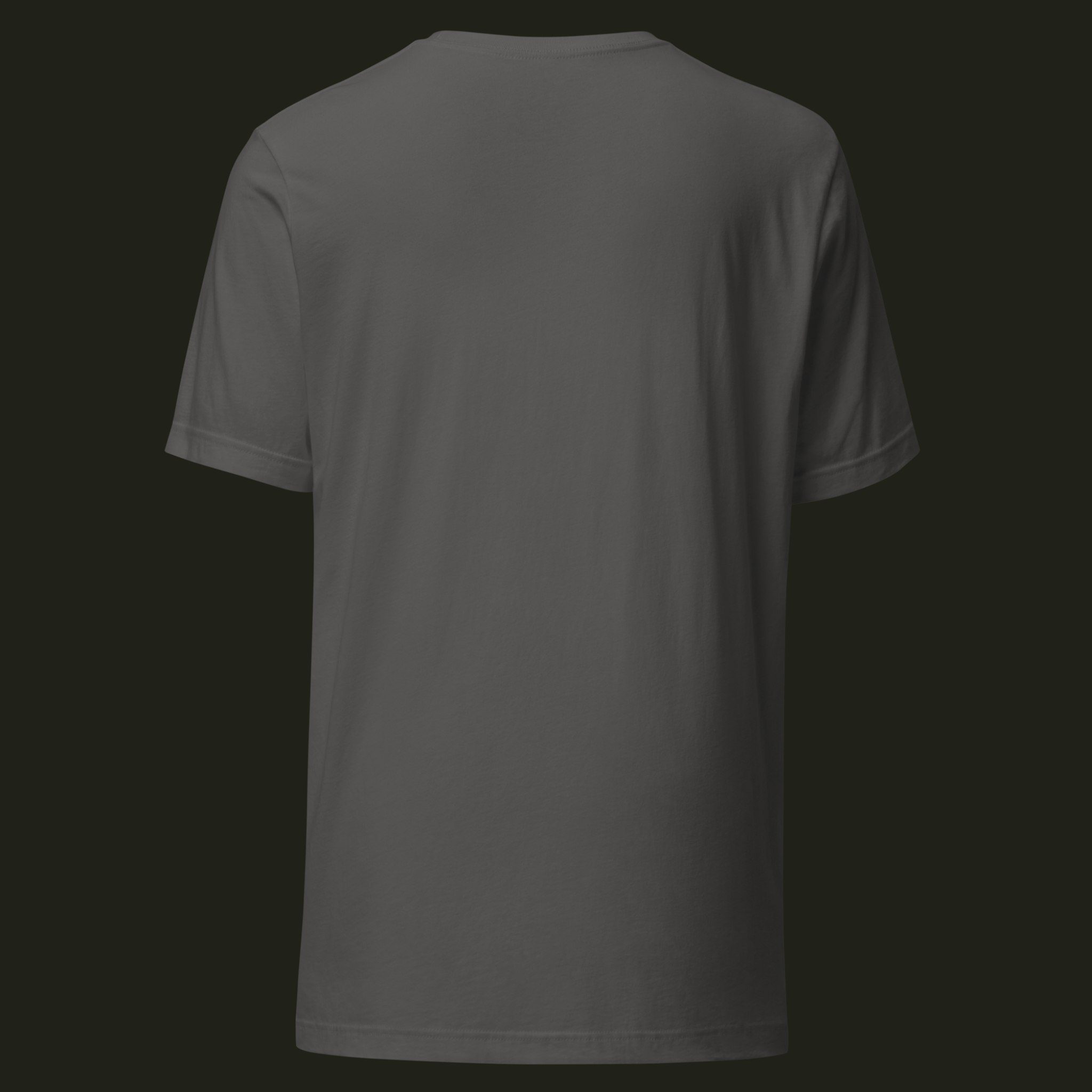 Back view of the Astral Echo asphalt unisex t-shirt with a plain back.