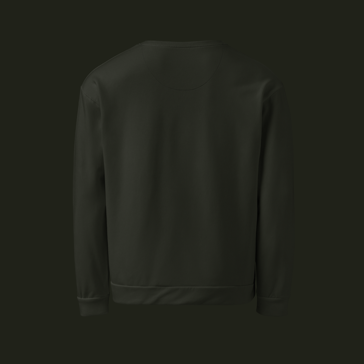Back view of the Dornavyn recycled unisex sweatshirt in deep olive charcoal with long sleeves and a ribbed hem.