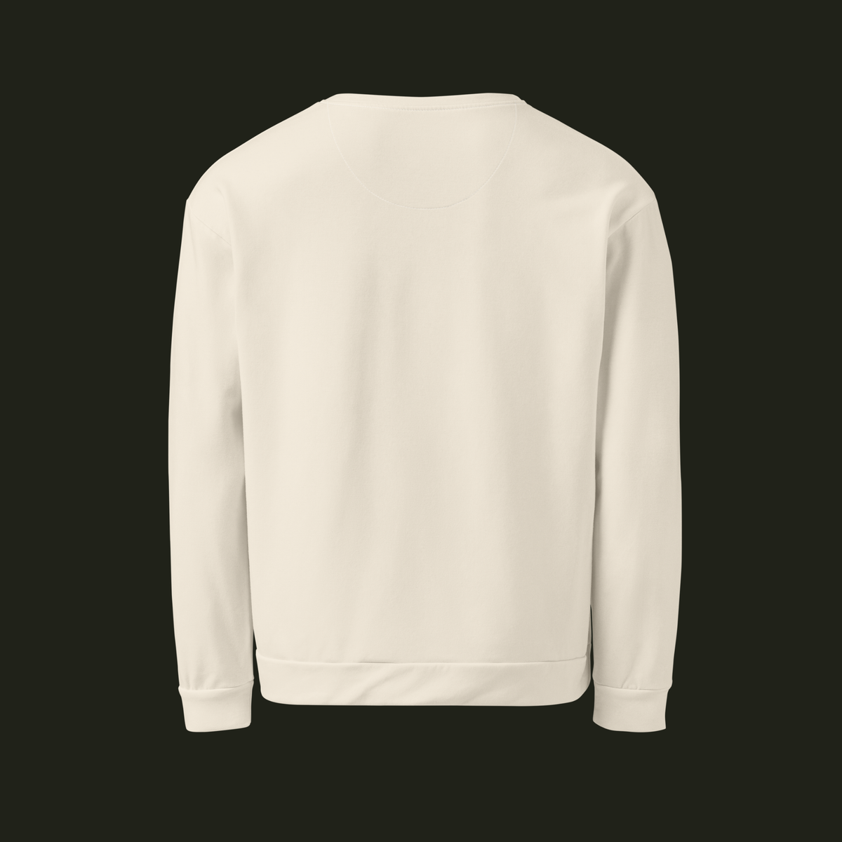 Back view of the Elqavyn recycled unisex sweatshirt in a warm ivory tone with long sleeves and a ribbed hem.