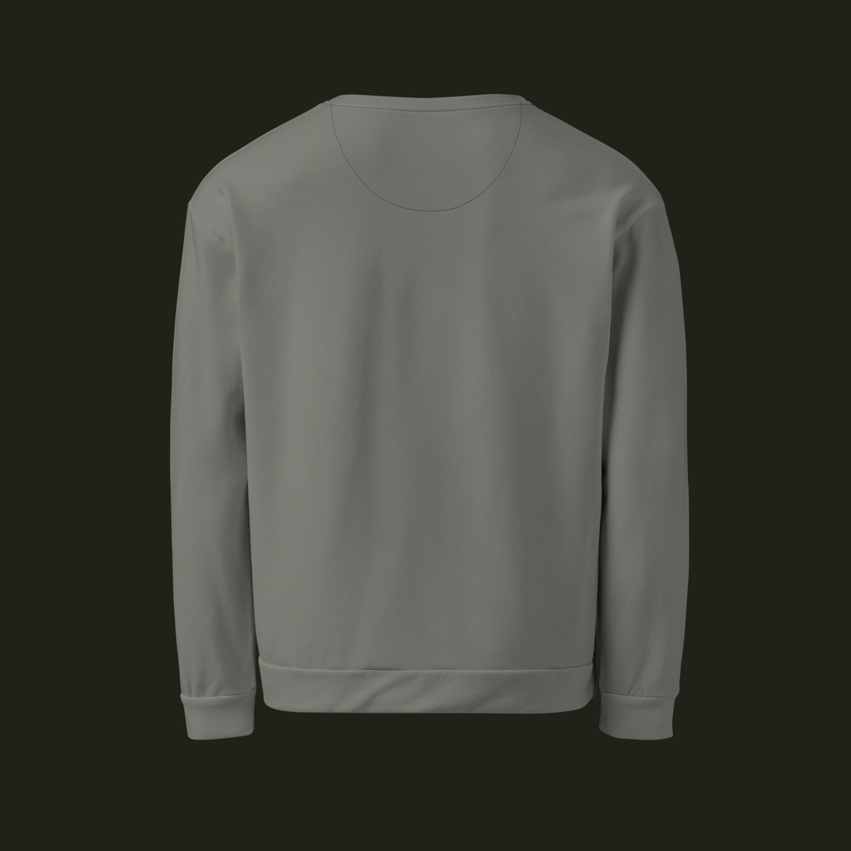 Back view of the Talyvess recycled unisex sweatshirt in a soft olive-grey tone with long sleeves and a ribbed hem.