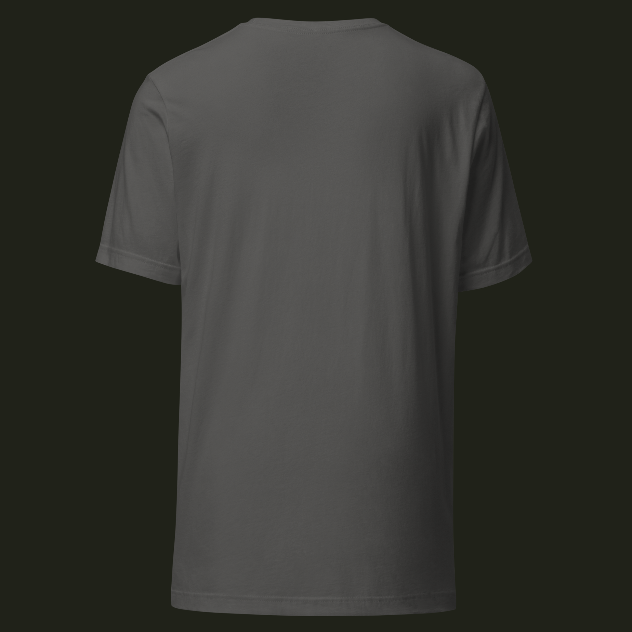 Back view of the asphalt Timeless Journey unisex t-shirt with a plain back.